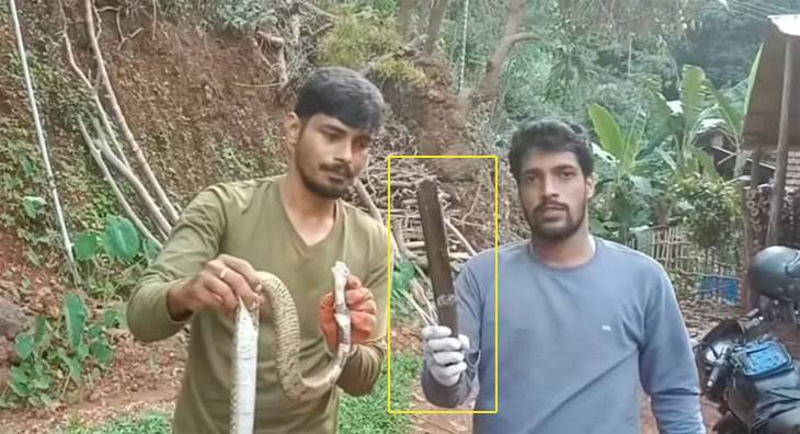 நாகப்பாம்பு கத்தி
